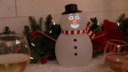 Animated Talking FrostByte Snowman