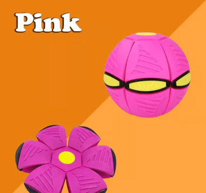 💥The Doggy Disc Ball💞