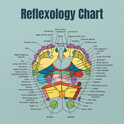 FeetyFirst™ ReflexTherapy Socks